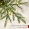 Best Choice Products Pre-Lit Artificial Full Aspen Noble Fir Christmas Tree w/ 2-in-1 Twinkling Micro LED Lights